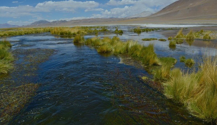 Rio Los Patos, desviado para planta de litio